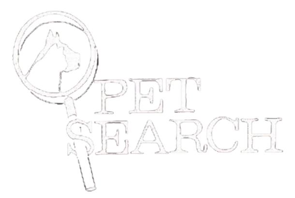 WhatsApp_Image_2024-10-24_at_16.04.59_306cc1b2-removebg-preview