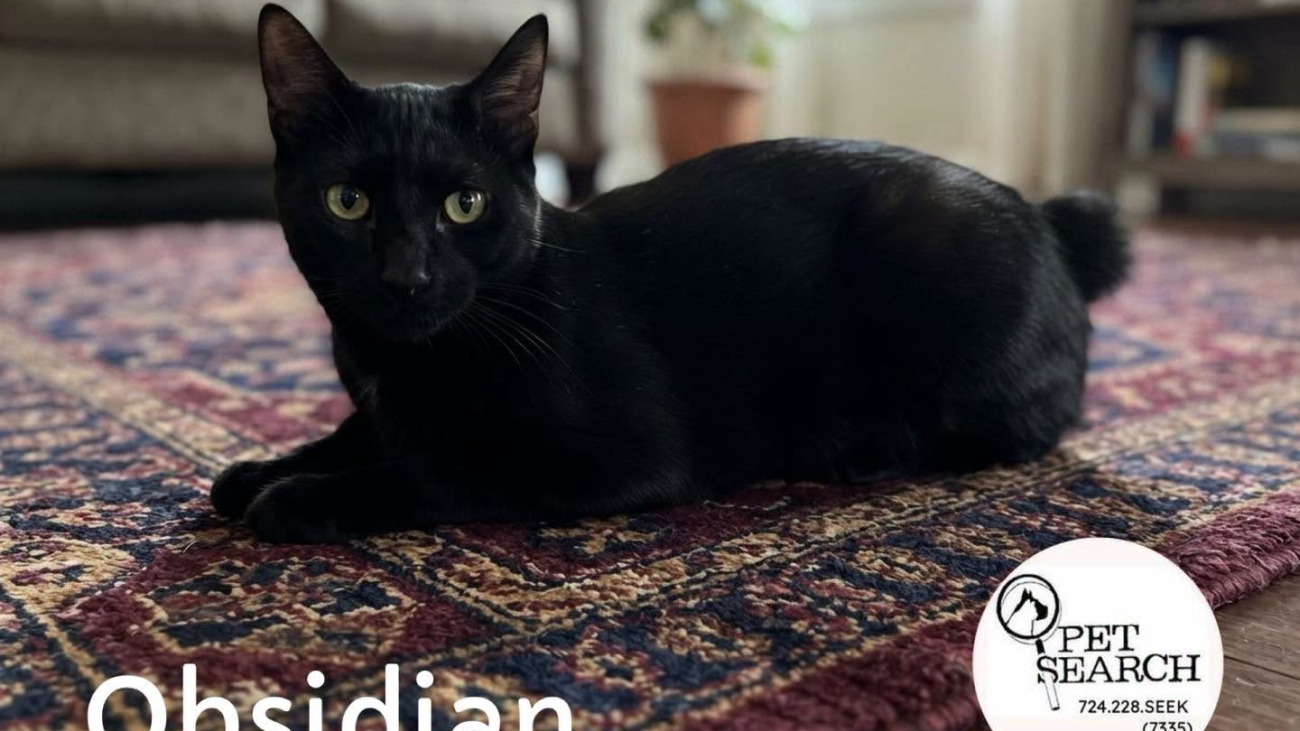 Obsidian